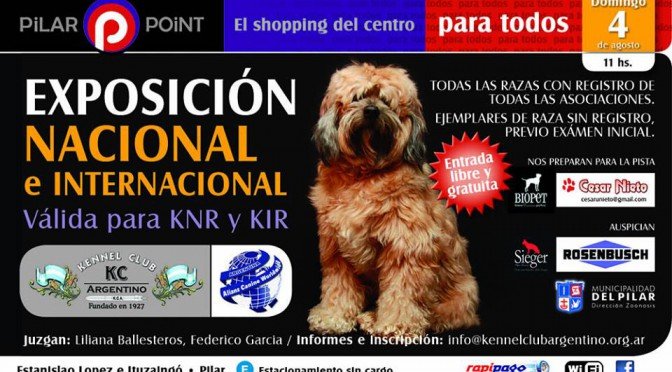 Imagen destacada del artículo «Exposición Nacional e Internacional en el Shopping "Pilar Point"»